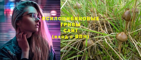 Альфа ПВП Приозерск